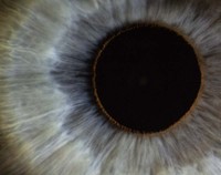 être attentif aux signes évocateurs