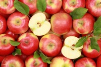 qu-est-ce-que-le-regime-pomme