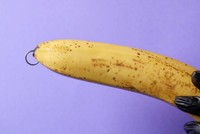 piercing-penis-sexualite