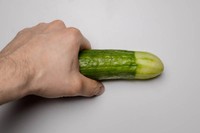 penis-circoncis-au-repos