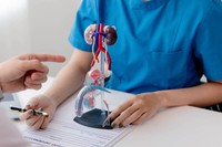 penis-tordu-gauche-droite