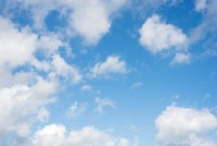 tache-blanche-sur-le-gland-traitement