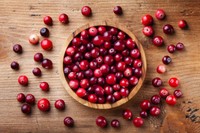 qu-est-ce-qu-une-cranberry