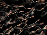 aliment-favorisant-la-production-de-spermatozoides