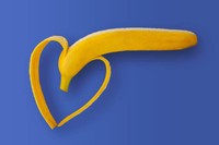 science-penis-conserve