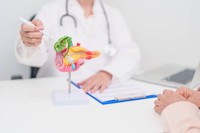 cancer-du-foie-stades