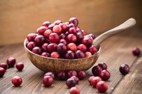 bienfaits-cranberry-pour-la-sante