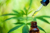 cbd-bienfaits-perte-de-poids