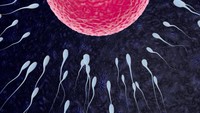 douleur-ovulation-fecondation