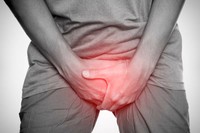 causes-cryptorchidie