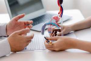 Pénis tordu : causes et comment le redresser