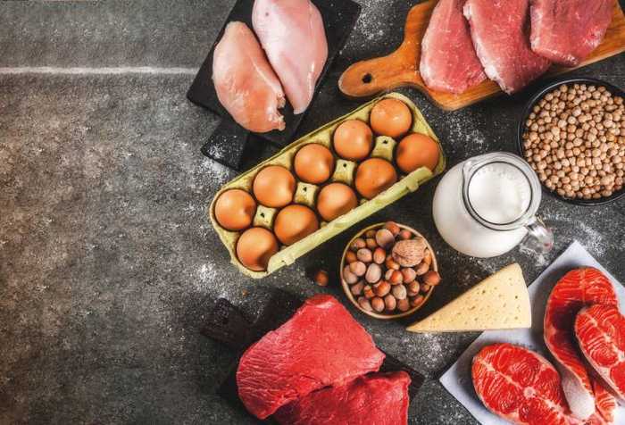 Combien de protéines faut-il manger par jour ? En fonction des besoins