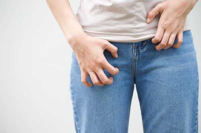 Morpion pubis : symptômes, causes et traitements