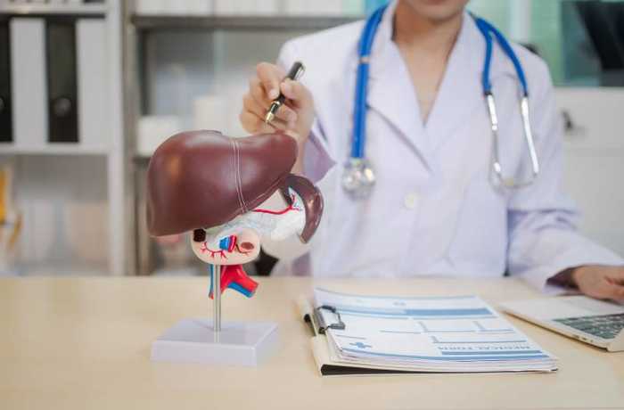 Cancer du foie : symptômes, stades et traitements